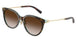 Tiffany 4243D Sunglasses