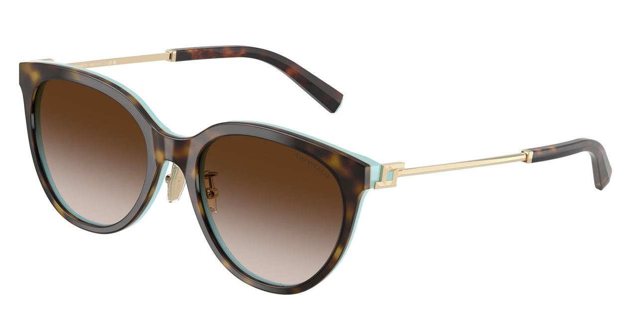 81343B - Brown - Brown Gradient