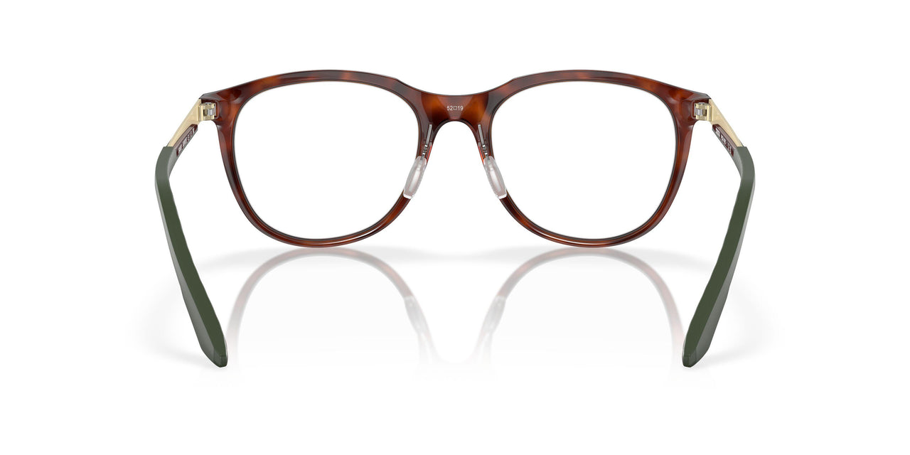 802802 - Tortoise