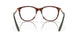 802802 - Tortoise