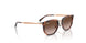 721913 - Brown - Light Brown Gradient Dark Brow