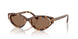 104073 - Tortoise - Dark Brown