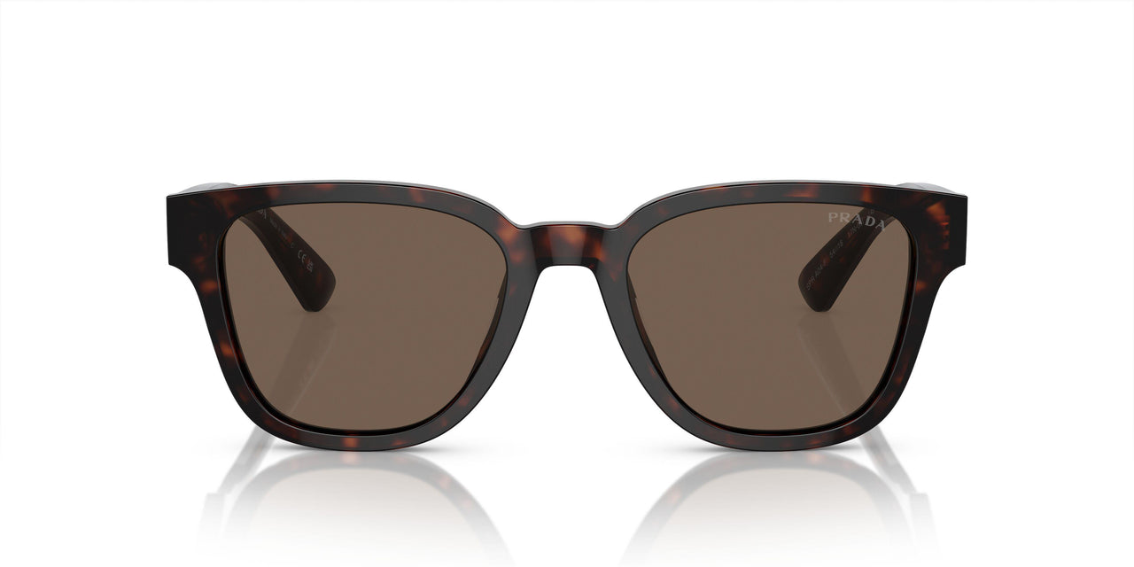 17N08T - Tortoise - Brown