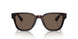 17N08T - Tortoise - Brown