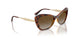W656T5 - Brown - Grey Gradient Brown Polar