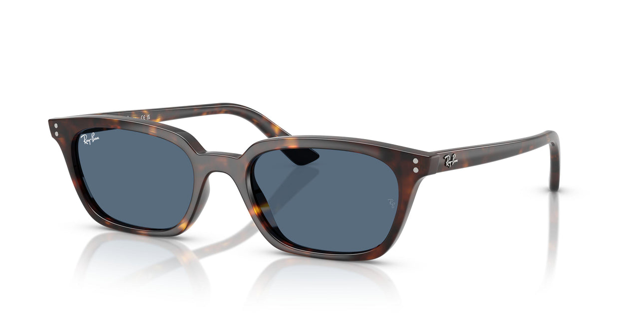 Ray-Ban Zaya 4456 Sunglasses