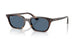 135980 - Tortoise - Dark Blue