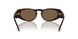 612473 - Tortoise - Dark Brown