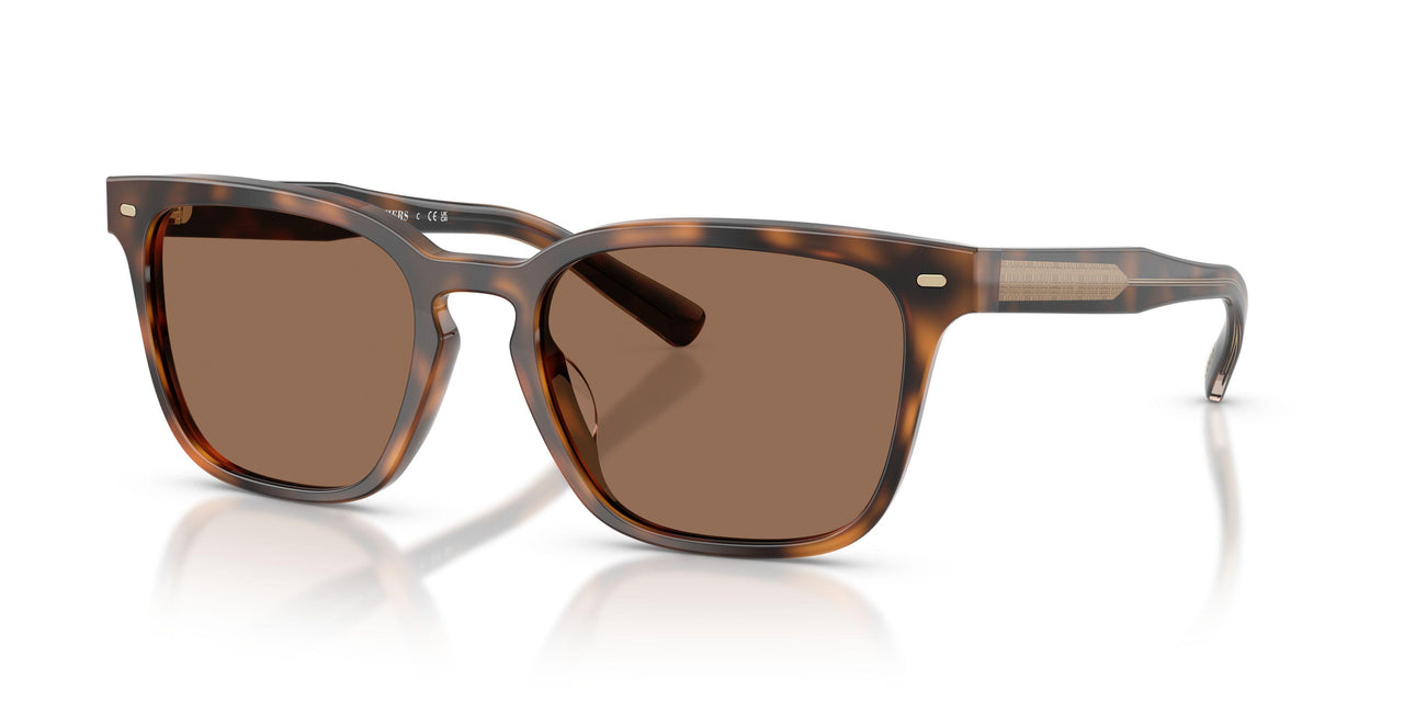 616173 - Tortoise - Solid Brown
