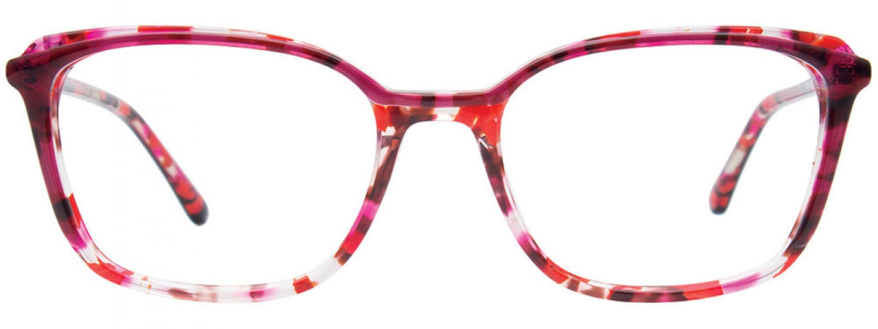 30 - Red Tortoise