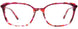 30 - Red Tortoise