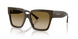 506013 - Green - Brown Gradient