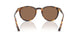513473 - Havana - Brown