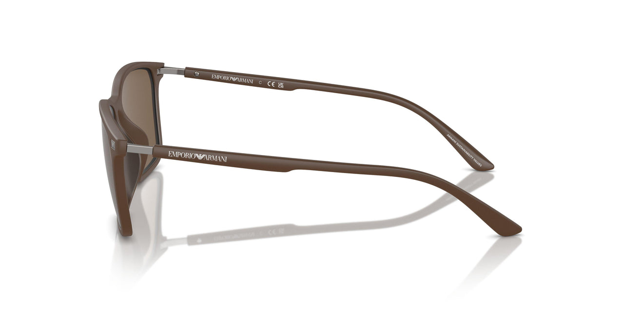 610573 - Brown - Dark Brown