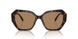 1002M4 - Brown - Photo Brown