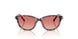 3476A5 - Tortoise - Pink Gradient Red