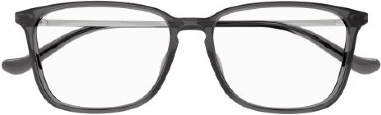 003 - Grey/Silver - Transparent