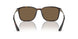 502673 - Tortoise - Dark Brown