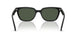 901/9A - Black - Polarized Dark Green