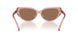 202173 - Pink - Dark Brown