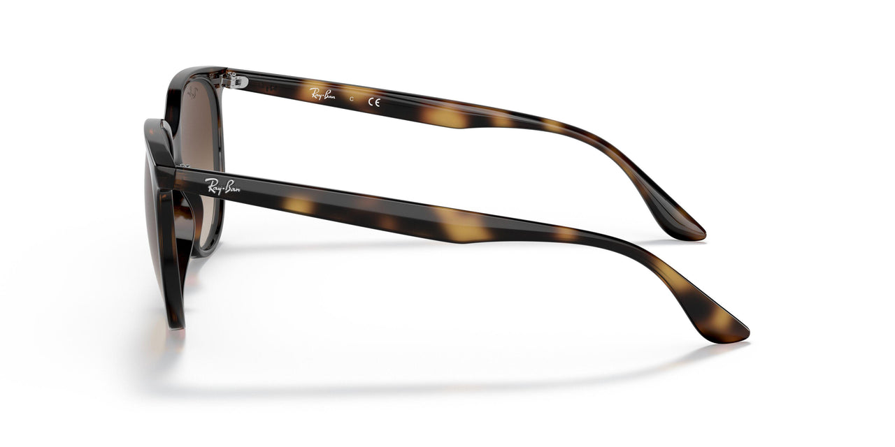 710/13 - Havana - Gradient Brown