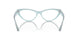 5009 - Blue