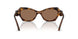 100273 - Tortoise - Dark Brown