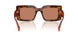 01K90Q - Tortoise - Brown