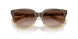 420113 - Brown - Brown Gradient