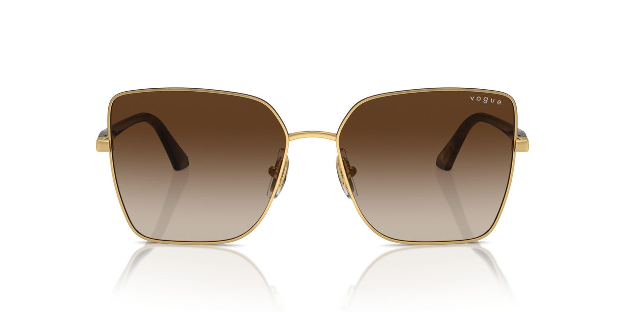 507813 - Brown - Gradient Brown