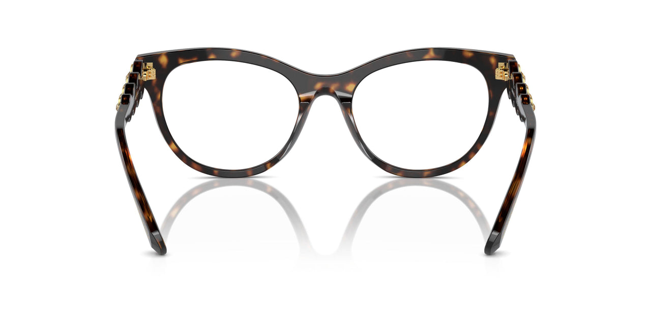 1002 - Brown