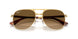 001/M2 - Gold - Polarized Brown Gradient