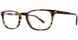 Kata Sensei Sun Sunglasses
