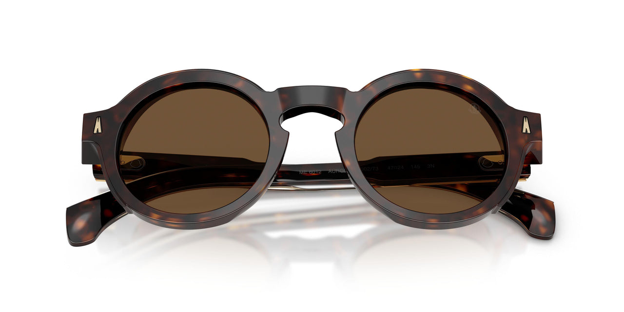 300273 - Tortoise - Solid Brown