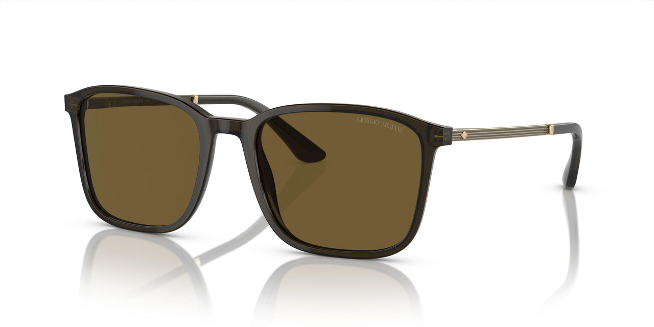 503073 - Green - Dark Brown