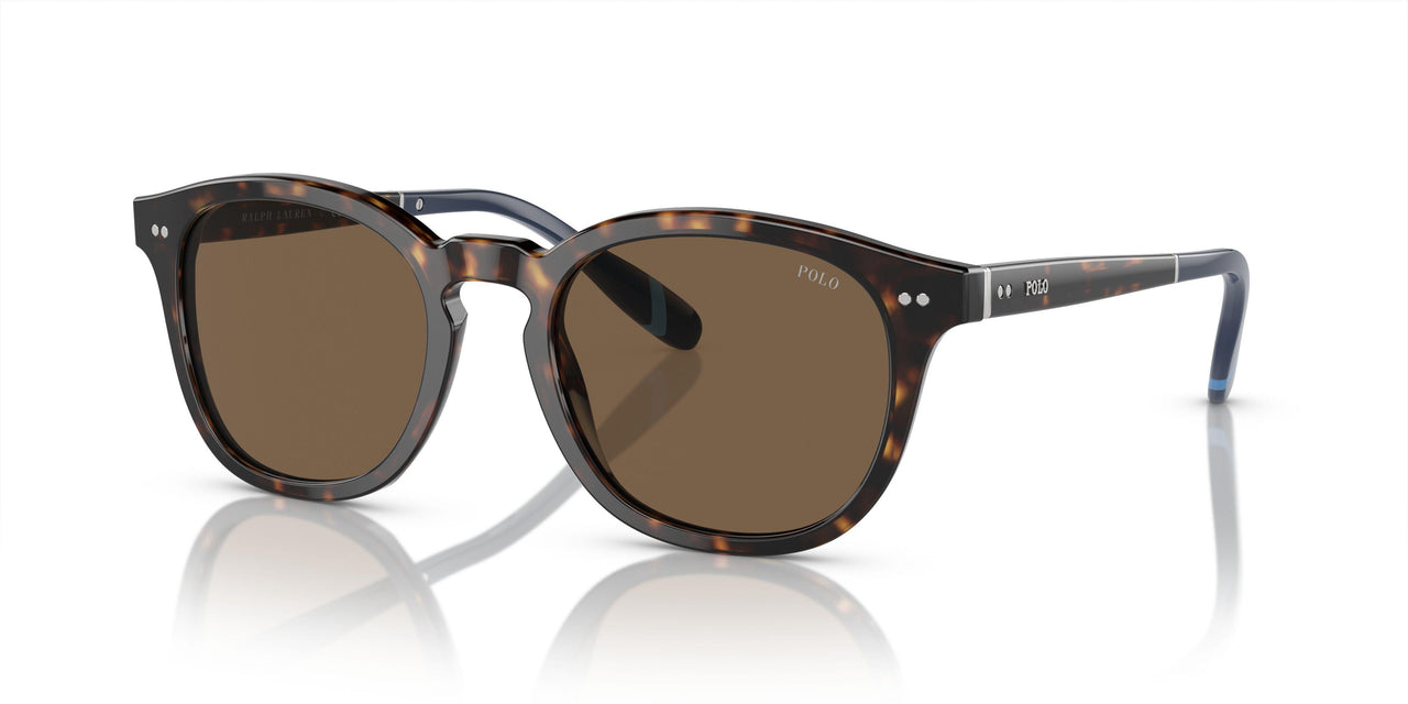 500373 - Brown - Brown