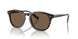 500373 - Brown - Brown