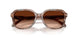 590174 - Brown - Brown Gradient