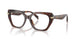 4031 - Tortoise