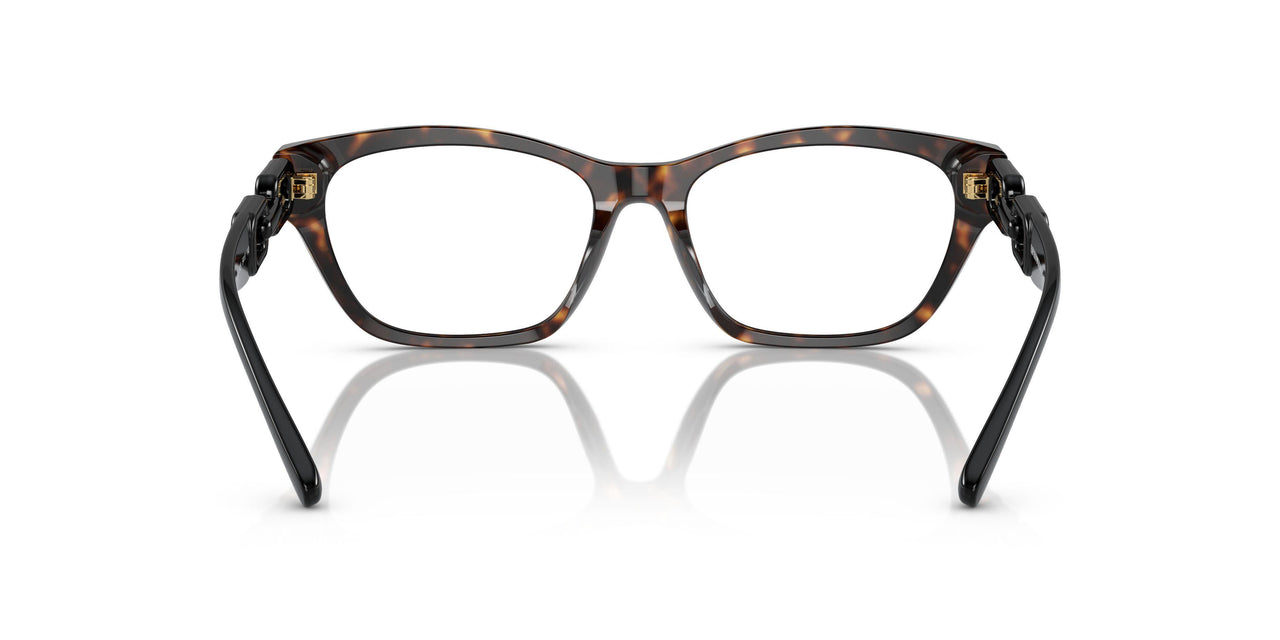 5026 - Tortoise