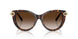 80153B - Tortoise - Brown Gradient