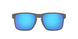 412307 - Silver - Prizm Sapphire Polarized