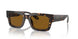 612433 - Tortoise - Brown