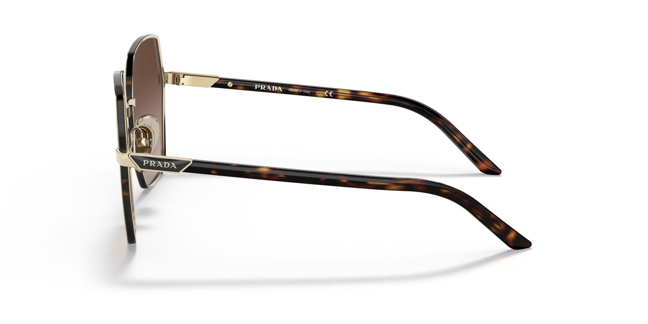 ZVN6S1 - Gold - Brown Gradient