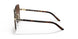 ZVN6S1 - Gold - Brown Gradient
