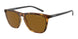 277083 - Brown - Dark Brown Polarized