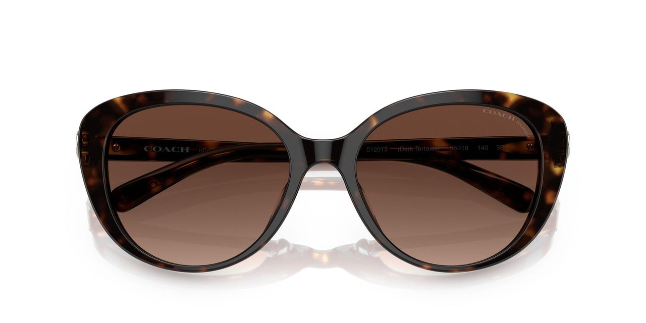 5120T5 - Havana - Brown Gradient Polar