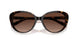 5120T5 - Havana - Brown Gradient Polar