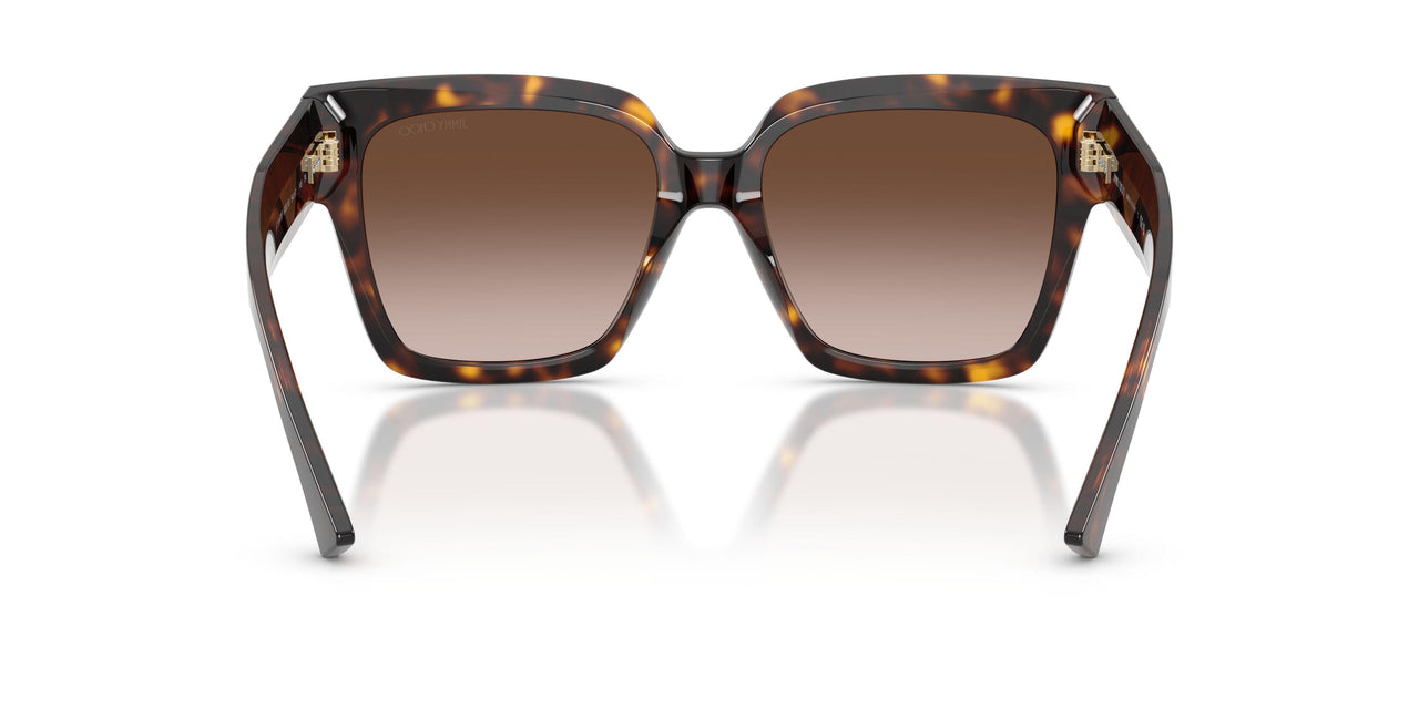 500213 - Tortoise - Gradient Brown