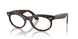 902/GI - Tortoise - Clear/brown